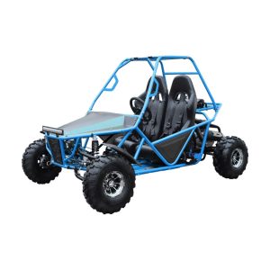 Electric karting（2 seats）